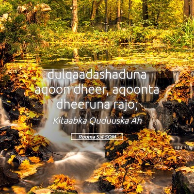 Picture 05 - Rooma 5:4 SOM - dulqaadashaduna aqoon dheer, aqoonta dheeruna - Bible Verse Picture
