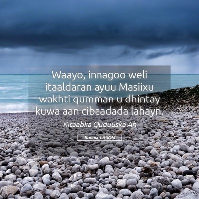 Picture 05 - Rooma 5:6 SOM - Waayo, innagoo weli itaaldaran ayuu Masiixu - Bible Verse Picture