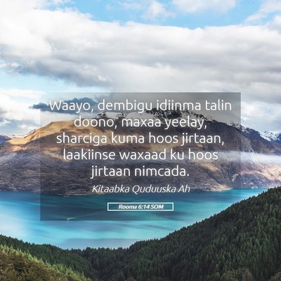 Picture 05 - Rooma 6:14 SOM - Waayo, dembigu idiinma talin doono, maxaa yeelay, - Bible Verse Picture