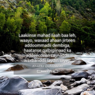 Picture 05 - Rooma 6:17 SOM - Laakiinse mahad Ilaah baa leh, waayo, waxaad - Bible Verse Picture