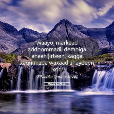 Picture 05 - Rooma 6:20 SOM - Waayo, markaad addoommadii dembiga ahaan jirteen, - Bible Verse Picture
