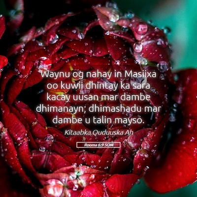 Picture 05 - Rooma 6:9 SOM - Waynu og nahay in Masiixa oo kuwii dhintay ka - Bible Verse Picture