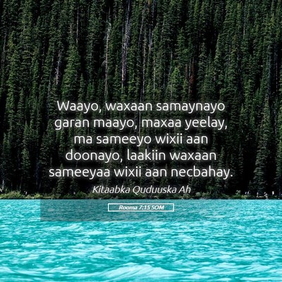 Picture 05 - Rooma 7:15 SOM - Waayo, waxaan samaynayo garan maayo, maxaa - Bible Verse Picture