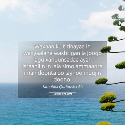 Picture 05 - Rooma 8:18 SOM - Waxaan ku tirinayaa in waxyaalaha wakhtigan la - Bible Verse Picture