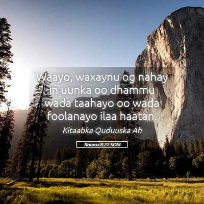 Picture 05 - Rooma 8:22 SOM - Waayo, waxaynu og nahay in uunka oo dhammu wada - Bible Verse Picture