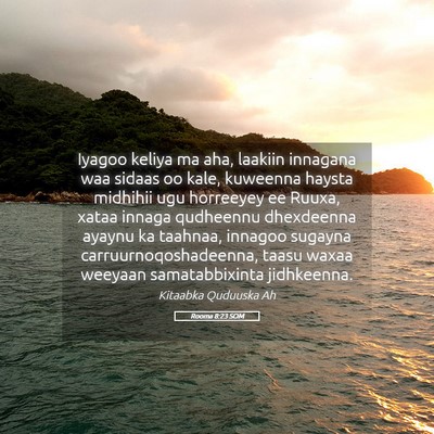 Picture 05 - Rooma 8:23 SOM - Iyagoo keliya ma aha, laakiin innagana waa sidaas - Bible Verse Picture