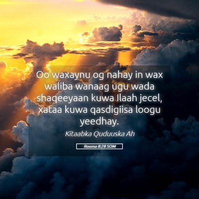Picture 05 - Rooma 8:28 SOM - Oo waxaynu og nahay in wax waliba wanaag ugu wada - Bible Verse Picture