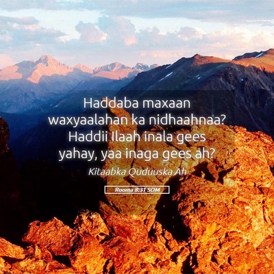 Picture 05 - Rooma 8:31 SOM - Haddaba maxaan waxyaalahan ka nidhaahnaa? Haddii - Bible Verse Picture