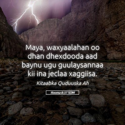 Picture 05 - Rooma 8:37 SOM - Maya, waxyaalahan oo dhan dhexdooda aad baynu ugu - Bible Verse Picture