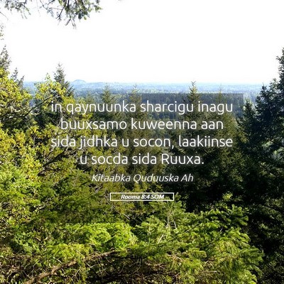 Picture 05 - Rooma 8:4 SOM - in qaynuunka sharcigu inagu buuxsamo kuweenna aan - Bible Verse Picture