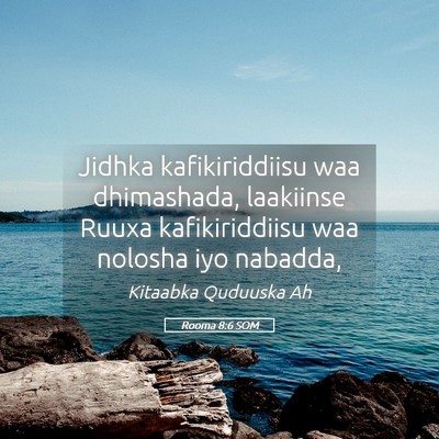 Picture 05 - Rooma 8:6 SOM - Jidhka kafikiriddiisu waa dhimashada, laakiinse - Bible Verse Picture