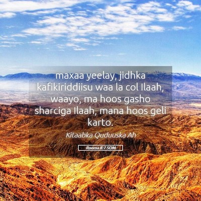 Picture 05 - Rooma 8:7 SOM - maxaa yeelay, jidhka kafikiriddiisu waa la col - Bible Verse Picture