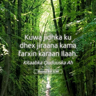 Picture 05 - Rooma 8:8 SOM - Kuwa jidhka ku dhex jiraana kama farxin karaan - Bible Verse Picture