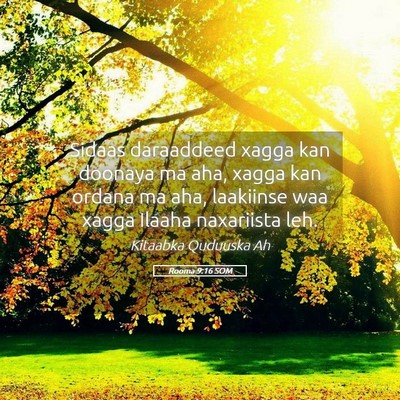Picture 05 - Rooma 9:16 SOM - Sidaas daraaddeed xagga kan doonaya ma aha, xagga - Bible Verse Picture