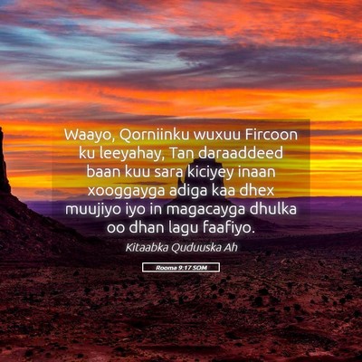 Picture 05 - Rooma 9:17 SOM - Waayo, Qorniinku wuxuu Fircoon ku leeyahay, Tan - Bible Verse Picture