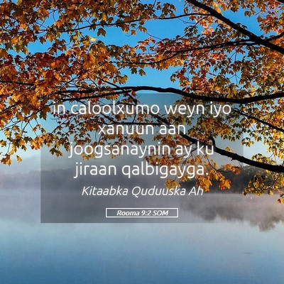 Picture 05 - Rooma 9:2 SOM - in caloolxumo weyn iyo xanuun aan joogsanaynin ay - Bible Verse Picture