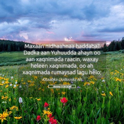 Picture 05 - Rooma 9:30 SOM - Maxaan nidhaahnaa haddaba? Dadka aan Yuhuudda - Bible Verse Picture