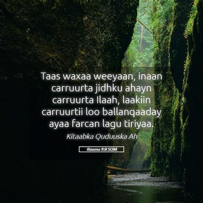 Picture 05 - Rooma 9:8 SOM - Taas waxaa weeyaan, inaan carruurta jidhku ahayn - Bible Verse Picture