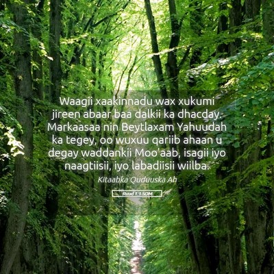 Picture 05 - Ruud 1:1 SOM - Waagii xaakinnadu wax xukumi jireen abaar baa - Bible Verse Picture