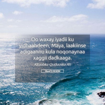 Picture 05 - Ruud 1:10 SOM - Oo waxay iyadii ku yidhaahdeen, Maya, laakiinse - Bible Verse Picture