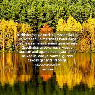 Picture 05 - Ruud 1:13 SOM - haddaba ma waxaad sugaysaan ilaa ay ka koraan? Oo - Bible Verse Picture