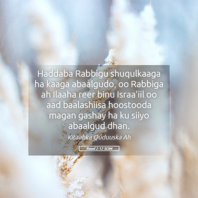 Picture 05 - Ruud 2:12 SOM - Haddaba Rabbigu shuqulkaaga ha kaaga abaalgudo, - Bible Verse Picture