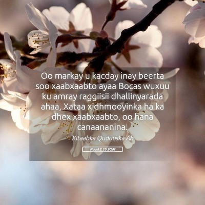 Picture 05 - Ruud 2:15 SOM - Oo markay u kacday inay beerta soo xaabxaabto - Bible Verse Picture