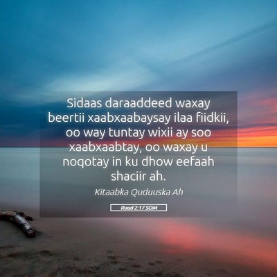 Picture 05 - Ruud 2:17 SOM - Sidaas daraaddeed waxay beertii xaabxaabaysay - Bible Verse Picture