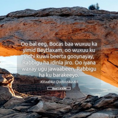 Picture 05 - Ruud 2:4 SOM - Oo bal eeg, Bocas baa wuxuu ka yimid Beytlaxam, - Bible Verse Picture