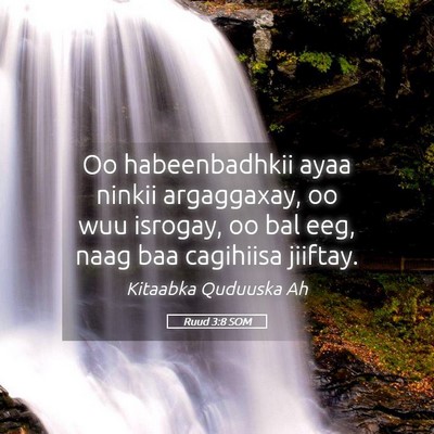 Picture 05 - Ruud 3:8 SOM - Oo habeenbadhkii ayaa ninkii argaggaxay, oo wuu - Bible Verse Picture