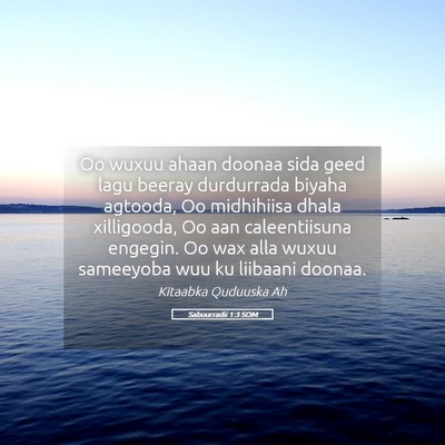 Picture 05 - Sabuurradii 1:3 SOM - Oo wuxuu ahaan doonaa sida geed lagu beeray - Bible Verse Picture