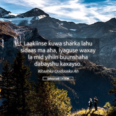 Picture 05 - Sabuurradii 1:4 SOM - Laakiinse kuwa sharka lahu sidaas ma aha, Iyaguse - Bible Verse Picture