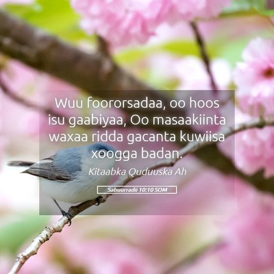 Picture 05 - Sabuurradii 10:10 SOM - Wuu foororsadaa, oo hoos isu gaabiyaa, Oo - Bible Verse Picture