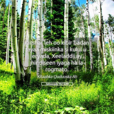 Picture 05 - Sabuurradii 10:2 SOM - Kii shar leh oo kibir badan ayaa miskiinka si - Bible Verse Picture