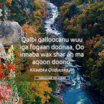 Picture 05 - Sabuurradii 101:4 SOM - Qalbi qalloocanu wuu iga fogaan doonaa, Oo innaba - Bible Verse Picture