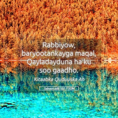 Picture 05 - Sabuurradii 102:1 SOM - Rabbiyow, baryootankayga maqal, Qayladayduna ha - Bible Verse Picture