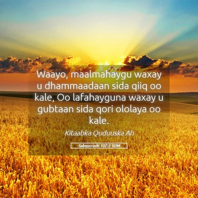Picture 05 - Sabuurradii 102:3 SOM - Waayo, maalmahaygu waxay u dhammaadaan sida qiiq - Bible Verse Picture