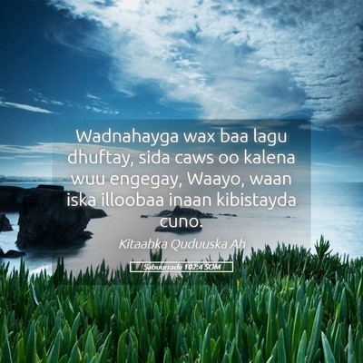 Picture 05 - Sabuurradii 102:4 SOM - Wadnahayga wax baa lagu dhuftay, sida caws oo - Bible Verse Picture