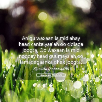 Picture 05 - Sabuurradii 102:6 SOM - Anigu waxaan la mid ahay haad cantalyaa ah oo - Bible Verse Picture