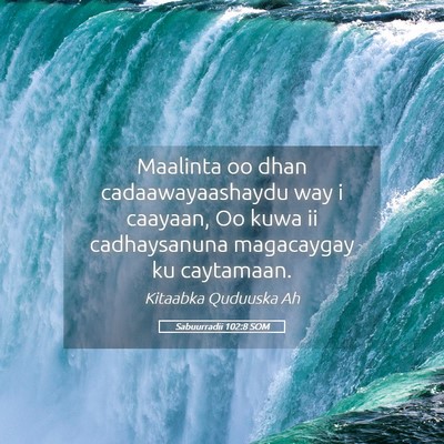 Picture 05 - Sabuurradii 102:8 SOM - Maalinta oo dhan cadaawayaashaydu way i caayaan, - Bible Verse Picture