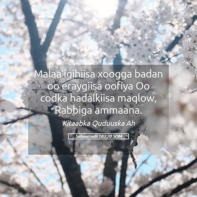 Picture 05 - Sabuurradii 103:20 SOM - Malaa'igihiisa xoogga badan oo eraygiisa oofiya - Bible Verse Picture