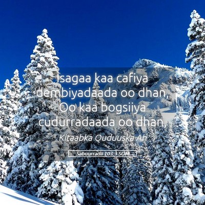 Picture 05 - Sabuurradii 103:3 SOM - Isagaa kaa cafiya dembiyadaada oo dhan, Oo kaa - Bible Verse Picture