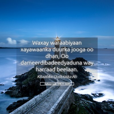 Picture 05 - Sabuurradii 104:11 SOM - Waxay waraabiyaan xayawaanka duurka jooga oo - Bible Verse Picture