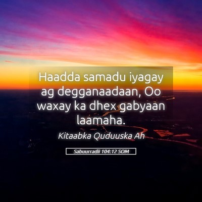 Picture 05 - Sabuurradii 104:12 SOM - Haadda samadu iyagay ag degganaadaan, Oo waxay ka - Bible Verse Picture