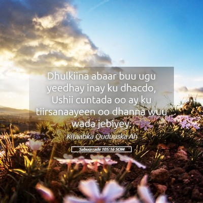 Picture 05 - Sabuurradii 105:16 SOM - Dhulkiina abaar buu ugu yeedhay inay ku dhacdo, - Bible Verse Picture