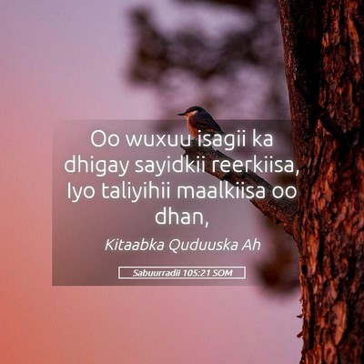 Picture 05 - Sabuurradii 105:21 SOM - Oo wuxuu isagii ka dhigay sayidkii reerkiisa, Iyo - Bible Verse Picture