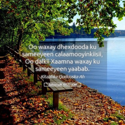 Picture 05 - Sabuurradii 105:27 SOM - Oo waxay dhexdooda ku sameeyeen - Bible Verse Picture