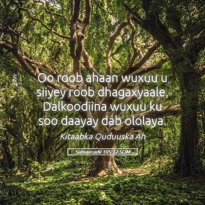 Picture 05 - Sabuurradii 105:32 SOM - Oo roob ahaan wuxuu u siiyey roob dhagaxyaale, - Bible Verse Picture