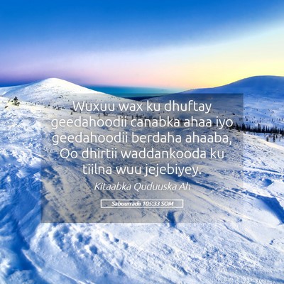 Picture 05 - Sabuurradii 105:33 SOM - Wuxuu wax ku dhuftay geedahoodii canabka ahaa iyo - Bible Verse Picture