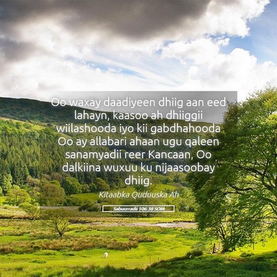 Picture 05 - Sabuurradii 106:38 SOM - Oo waxay daadiyeen dhiig aan eed lahayn, kaasoo - Bible Verse Picture